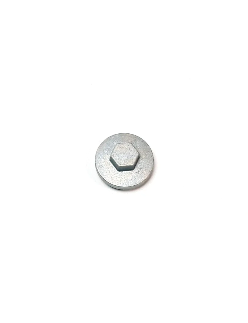 TAPPET ADJ HOLE CAP ASSY.