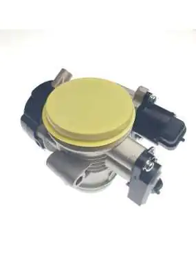 THROTTLE BODY ASSEMBLY