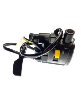 THROTTLE CONTROL (WITH 2WD/4WD SWITCH)(SEE PICTURE)