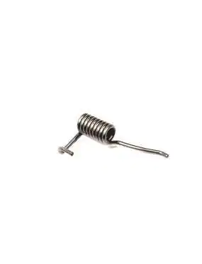 Torsion spring