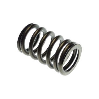VALVE SPRING