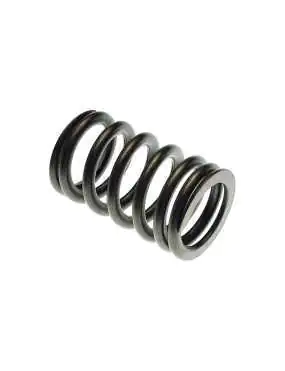 VALVE SPRING