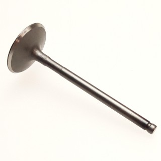 Valve, Intake