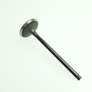 VALVE, intake