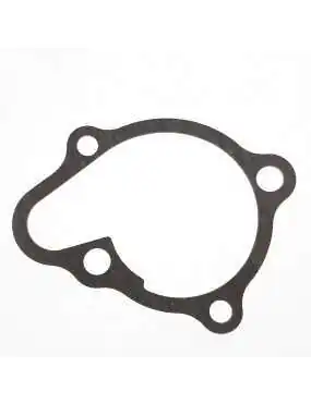 WATER PUMP GASKET