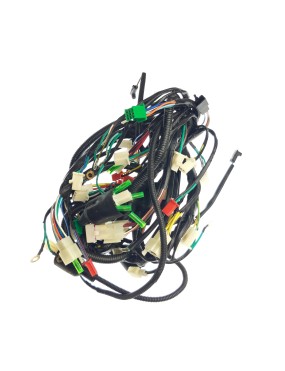 WIRING HARNESS (USED FOR EUROPE)