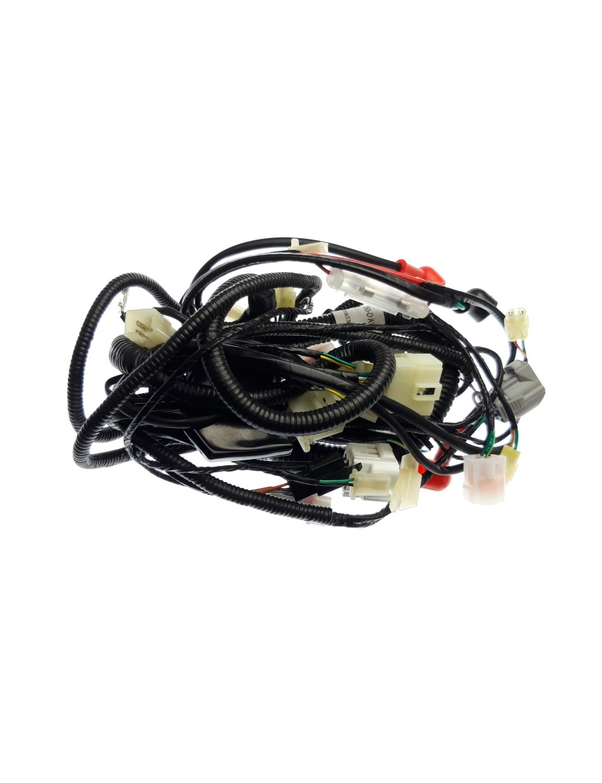 WIRING HARNESS(FOR CE)
