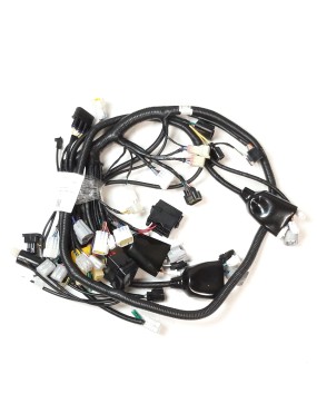 WIRING HARNESS(FOR EFI EUROPE)
