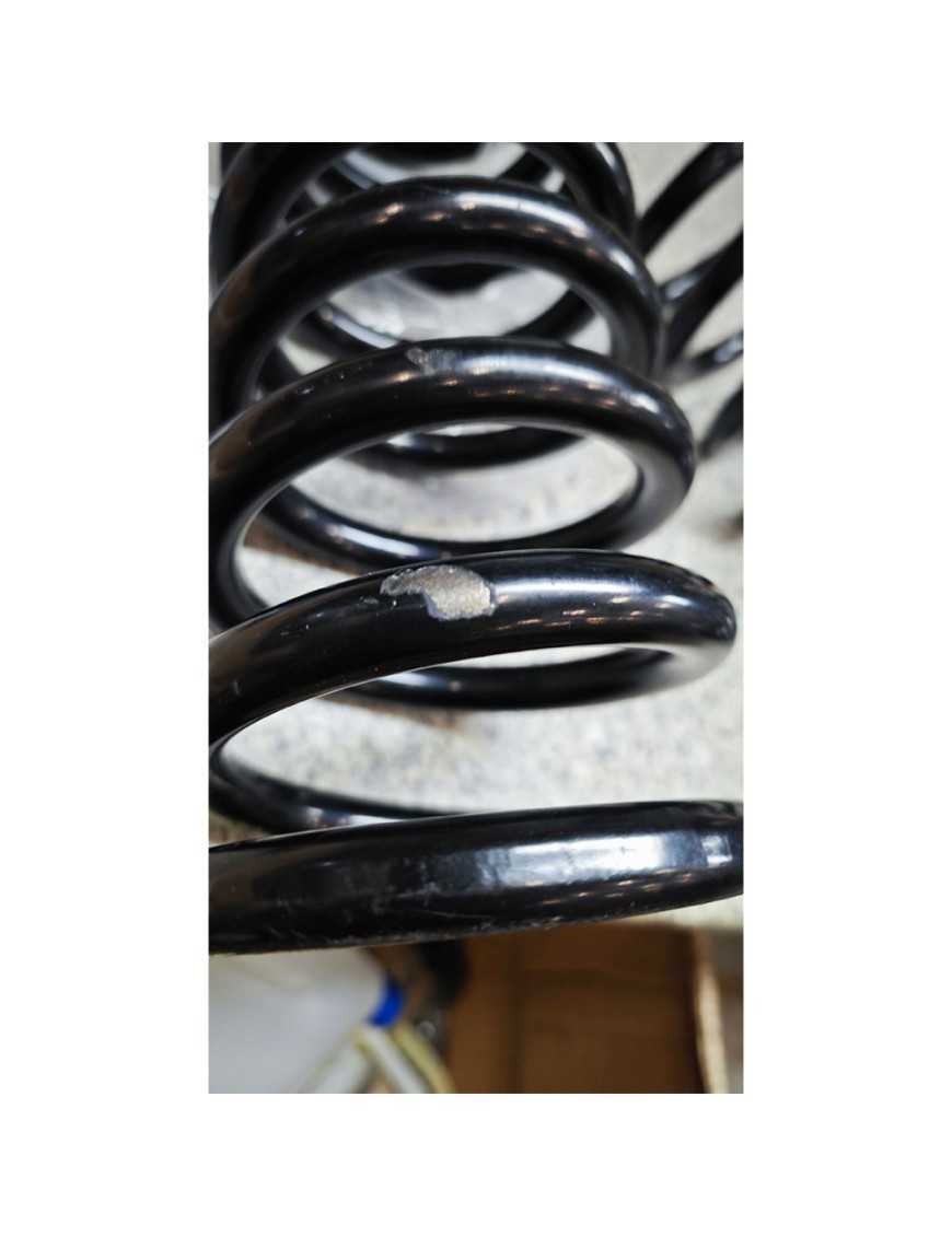 Sprężyny przód BDS Pro-Ride Lift 4,5" Sprężyny przód BDS Pro-Ride Lift 4,5"