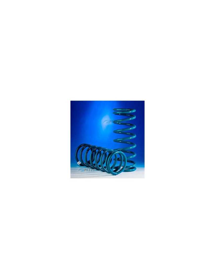 2-inch Dobinsons Patrol Y61 Short Front Springs 2-inch Dobinsons Patrol Y61 Short Front Springs