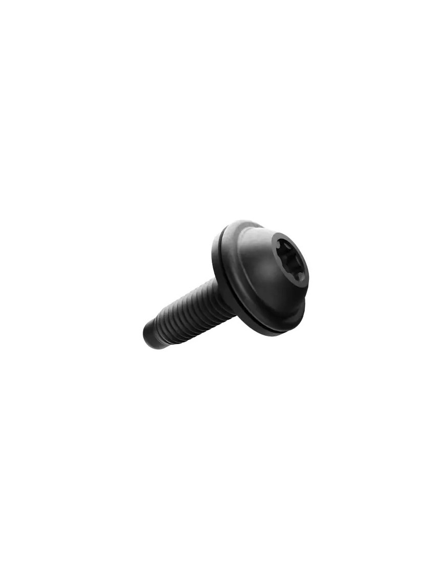 Large Round Washer Head Lock Screw - Mopar (6509966AA)