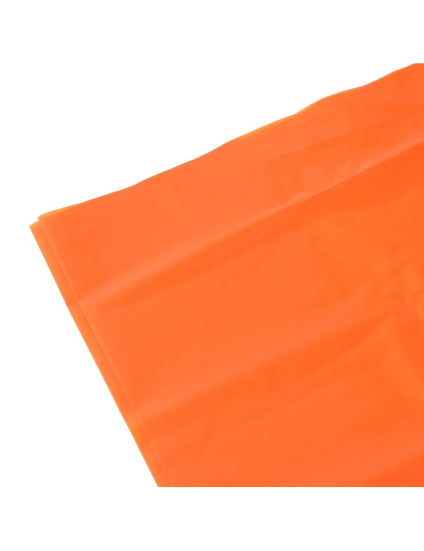 Koc ratunkowy Lifesystems Survival Bag