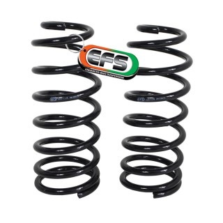 Sprężyny tylne EFS, lift 45 mm, do 150 kg — Nissan Navara D23 / NP300 (komplet) EFS4WD - ujęcie 2
