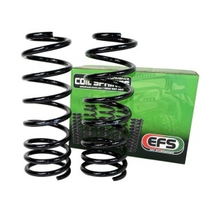 Sprężyny EFS progresywne, tył +50 mm, 300-500 kg — Toyota Land Cruiser 300 bez E-KDSS EFS4WD