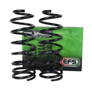 Sprężyny EFS progresywne, tył +50 mm, do 100 kg — Toyota Land Cruiser 300 bez E-KDSS EFS4WD