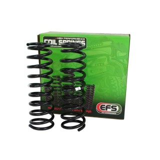 Sprężyny tylne EFS Heavy Duty, lift 50 mm, obciążenie 100-200 kg — Suzuki Jimny od 2018 EFS4WD