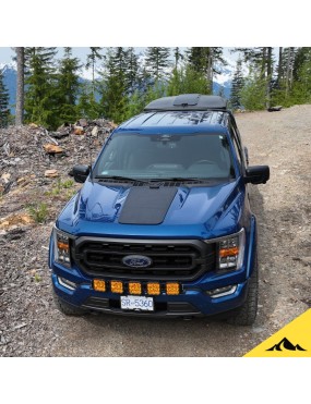 Cascadia 4x4 CHF154