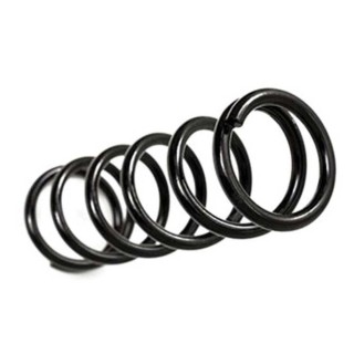Sprężyny tył BDS Pro-Ride Lift 3,5" - ujęcie 2