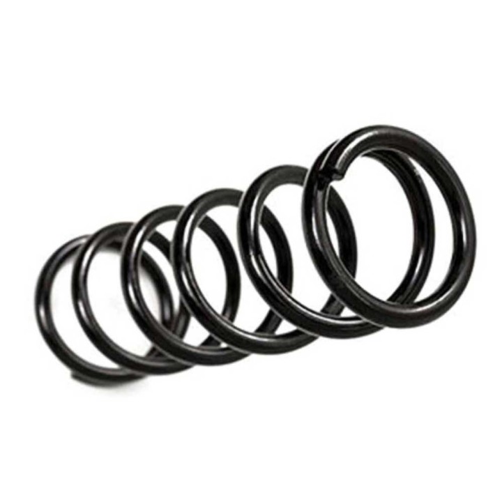 Sprężyny przód BDS Pro-Ride Lift 2-3" - ujęcie 4