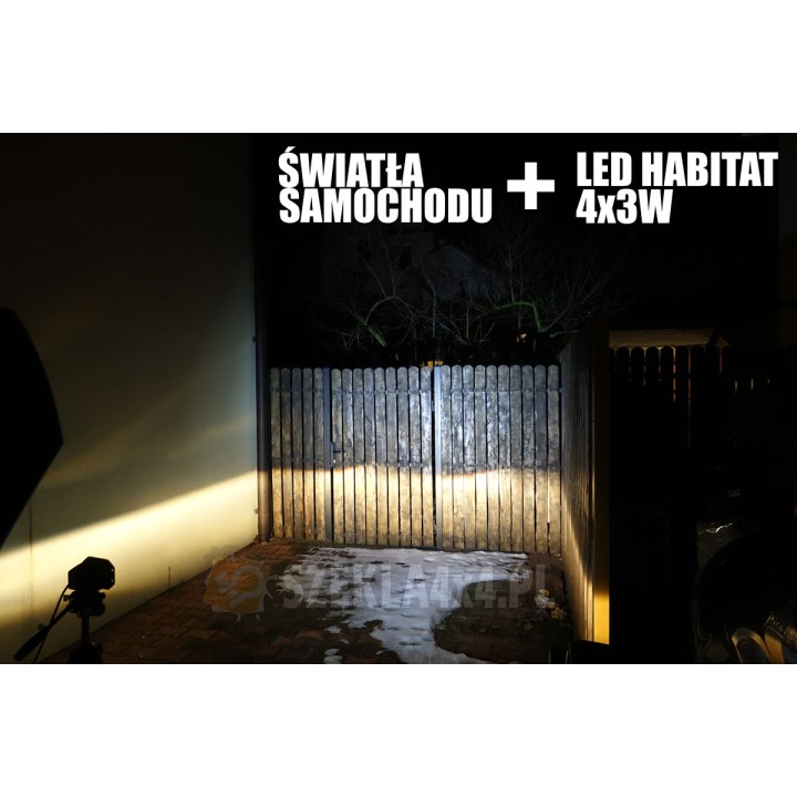 Światła samochodu z lampą LED Habitat – rozświetlone drzewo przy krawędzi drogi