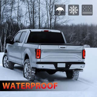 Lampy tylne LED Ford F150 2015-2019 — komplet