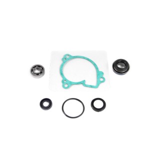 HOT RODS ZESTAW NAPRAWCZY POMPY WODY YAMAHA GRIZZLY 550 09-14, RHINO 700 08-15, GRIZZLY 700 07-15