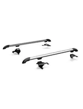 Roof Rack Nebo Silver...