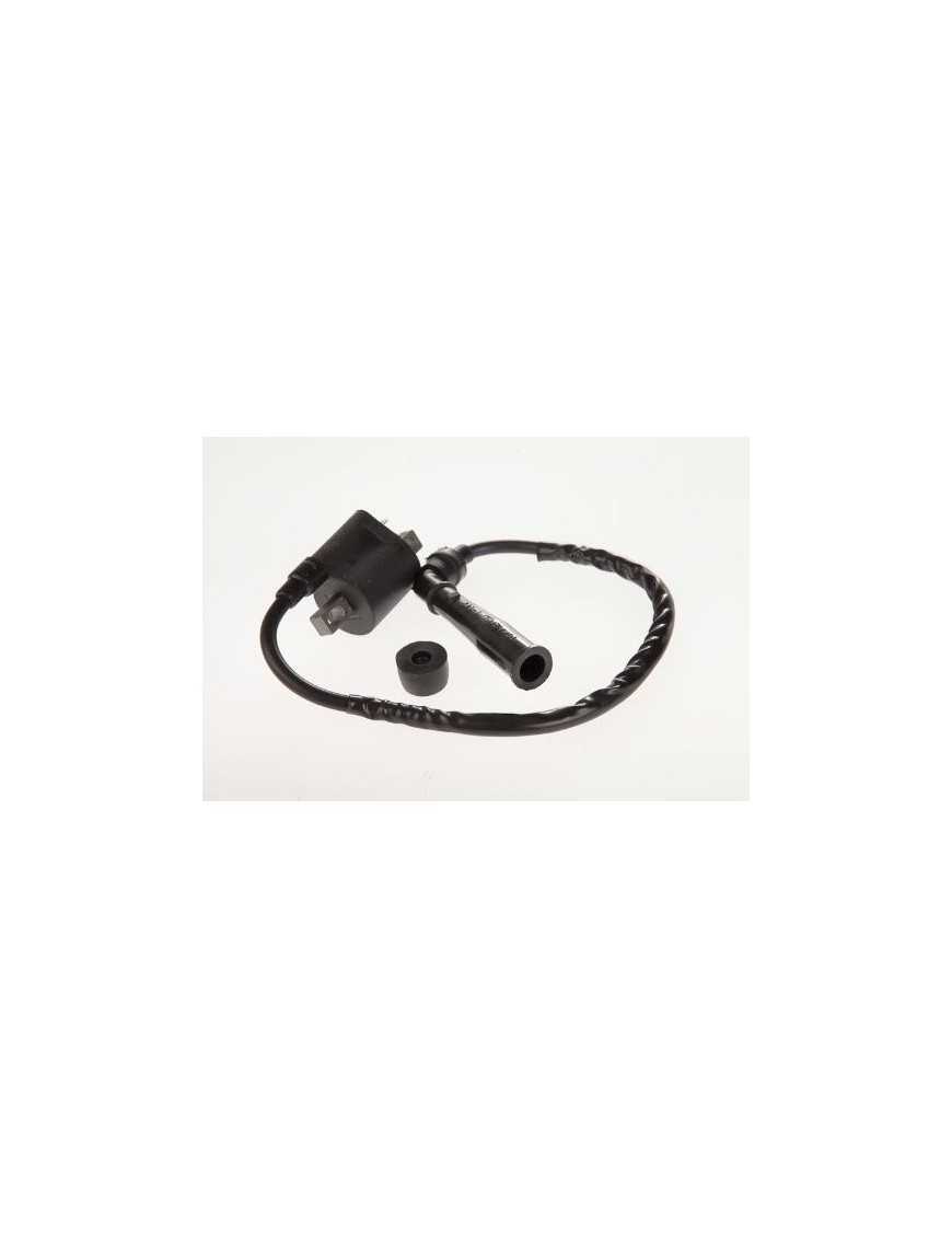Ignition Coil with Bent Pipe Yamaha Raptor Grizzly Rhino 660 Suzuki LTZ 400 LTA 500 5FU-82310-00-00 33410-09F00 Ignition Coil with Bent Pipe Yamaha Raptor Grizzly Rhino 660 Suzuki LTZ 400 LTA 500 5FU-82310-00-00 33410-09F00