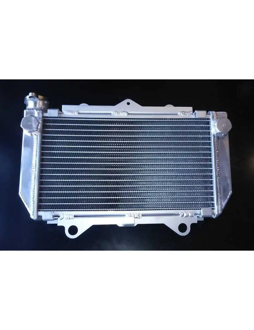 Radiator Yamaha YFZ450 2004-2009 2012-2013 2004 5TG-12461-00-00 5TG-12461-10-00