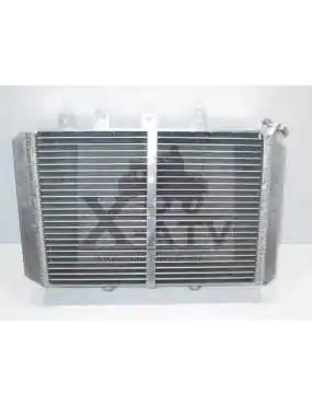 Radiator Yamaha Grizzly 550...