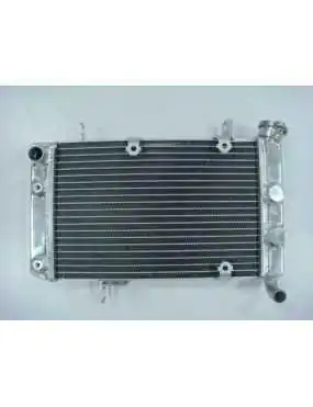 Radiator Suzuki LTZ400 03-08 17710-07G00 17710-07G10