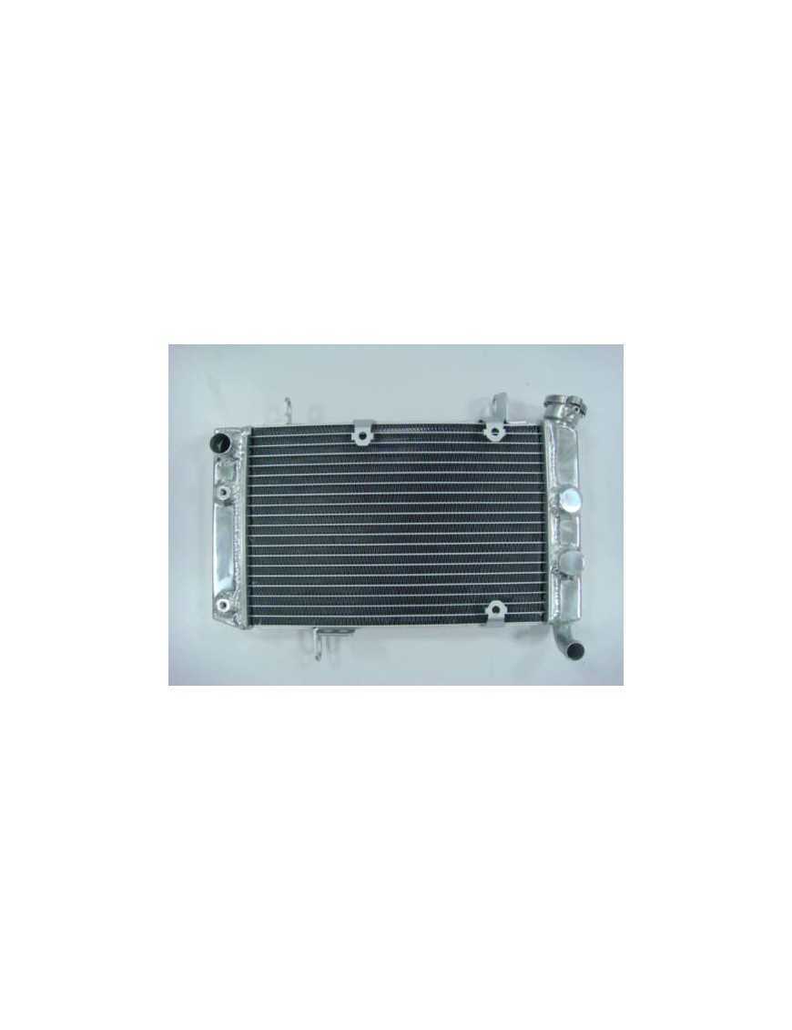 Radiator Suzuki LTZ400 03-08 17710-07G00 17710-07G10 Radiator Suzuki LTZ400 03-08 17710-07G00 17710-07G10
