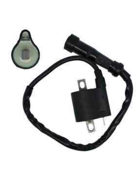 Ignition Coil with Straight...