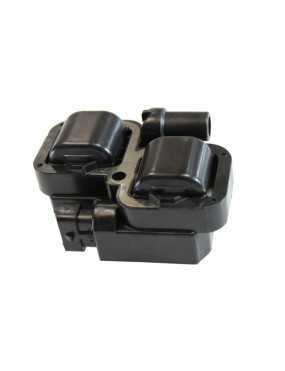 Ignition Coil Polaris...