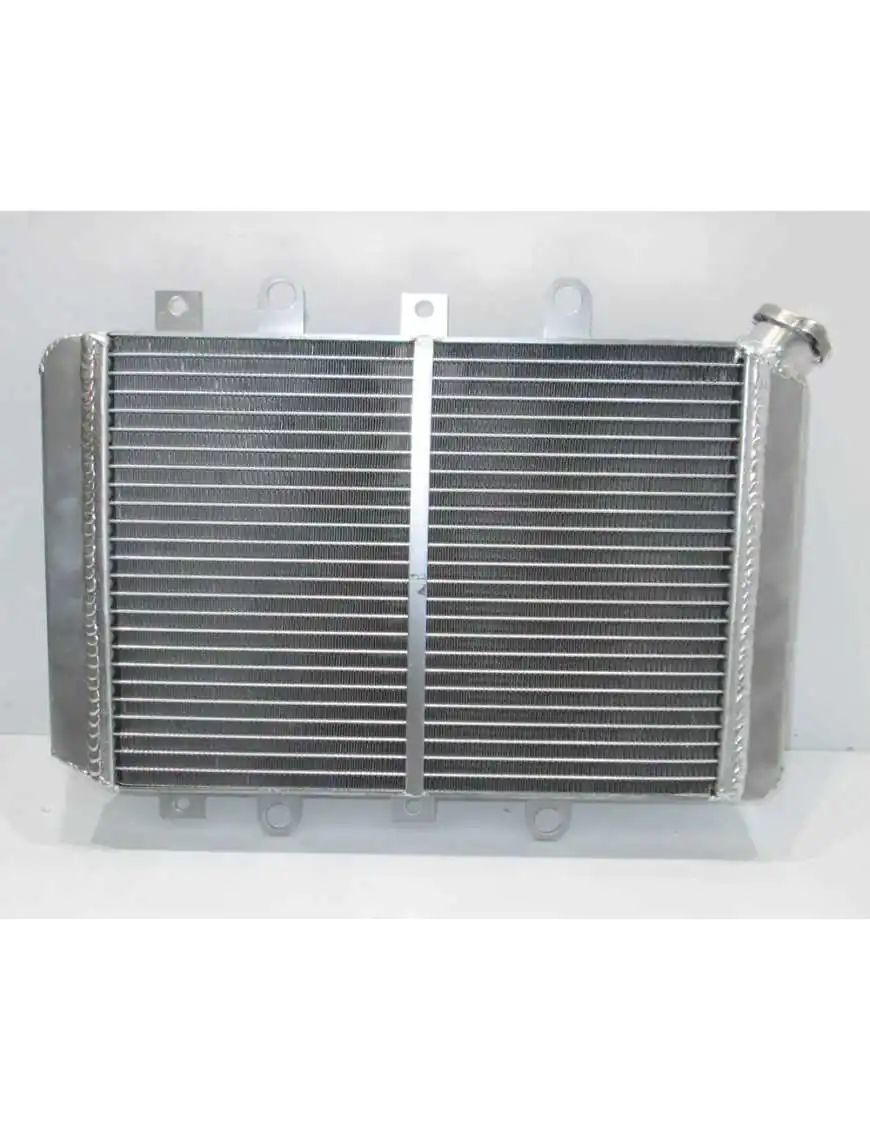 Radiator Yamaha Grizzly 550 700 2009-2019 28P-1240A-00-00 1HP-E2460-00-00 B16-E2460-00-00