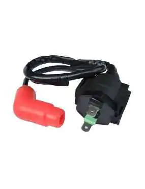 Ignition Coil Suzuki LTF...