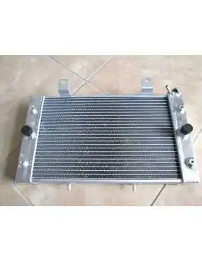 Radiator Yamaha Rhino 700...