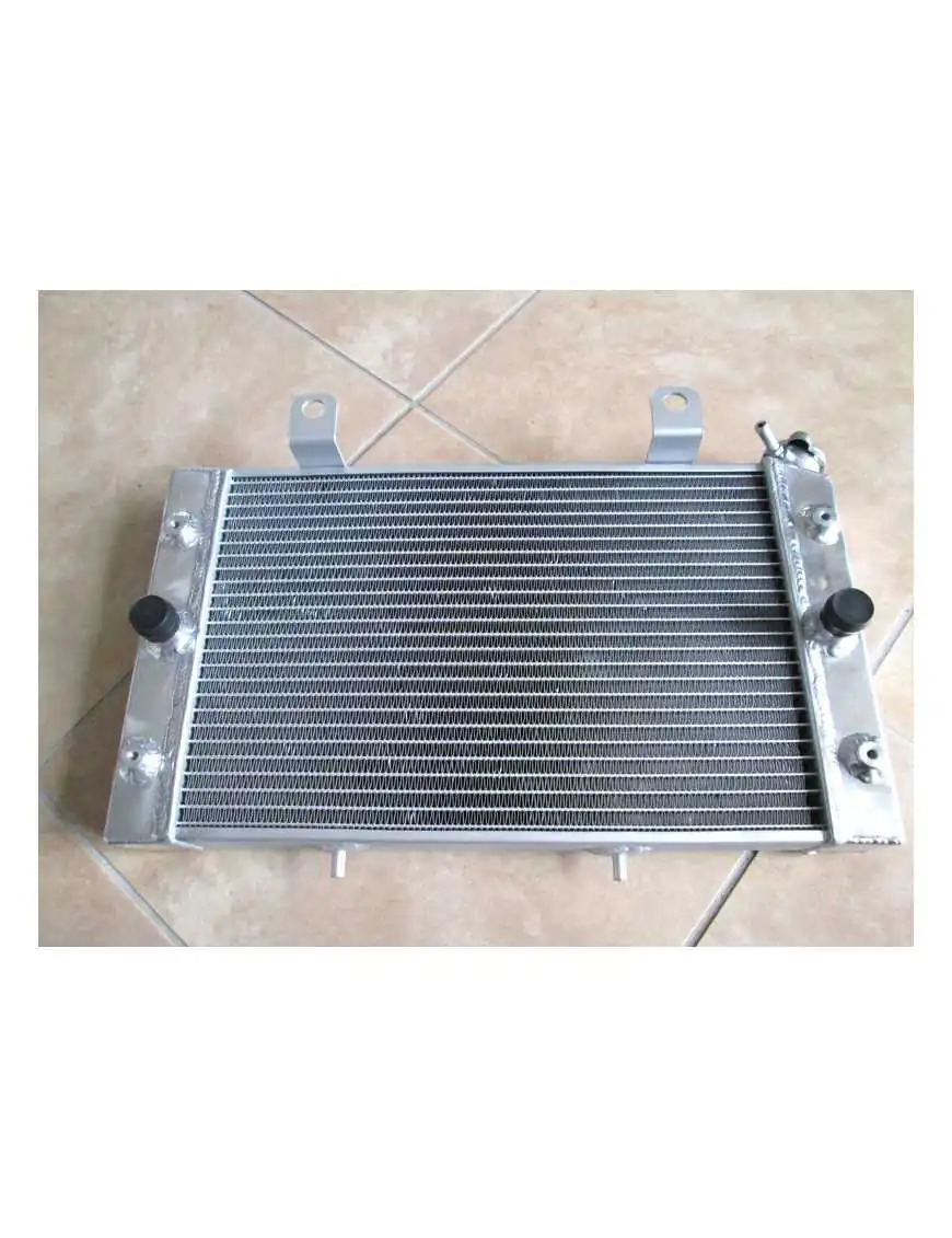 Radiator Yamaha Rhino 700 2008-2013 5B4-E2461-00-00