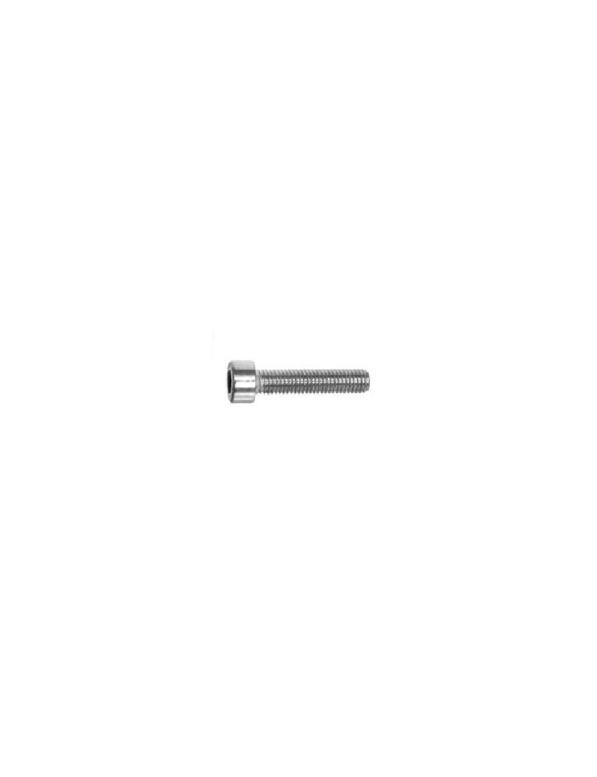 Screw for spacers M10x1.25