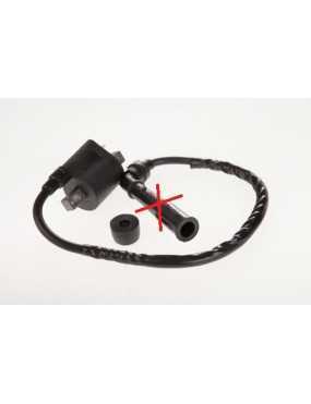 Ignition Coil without Spark...