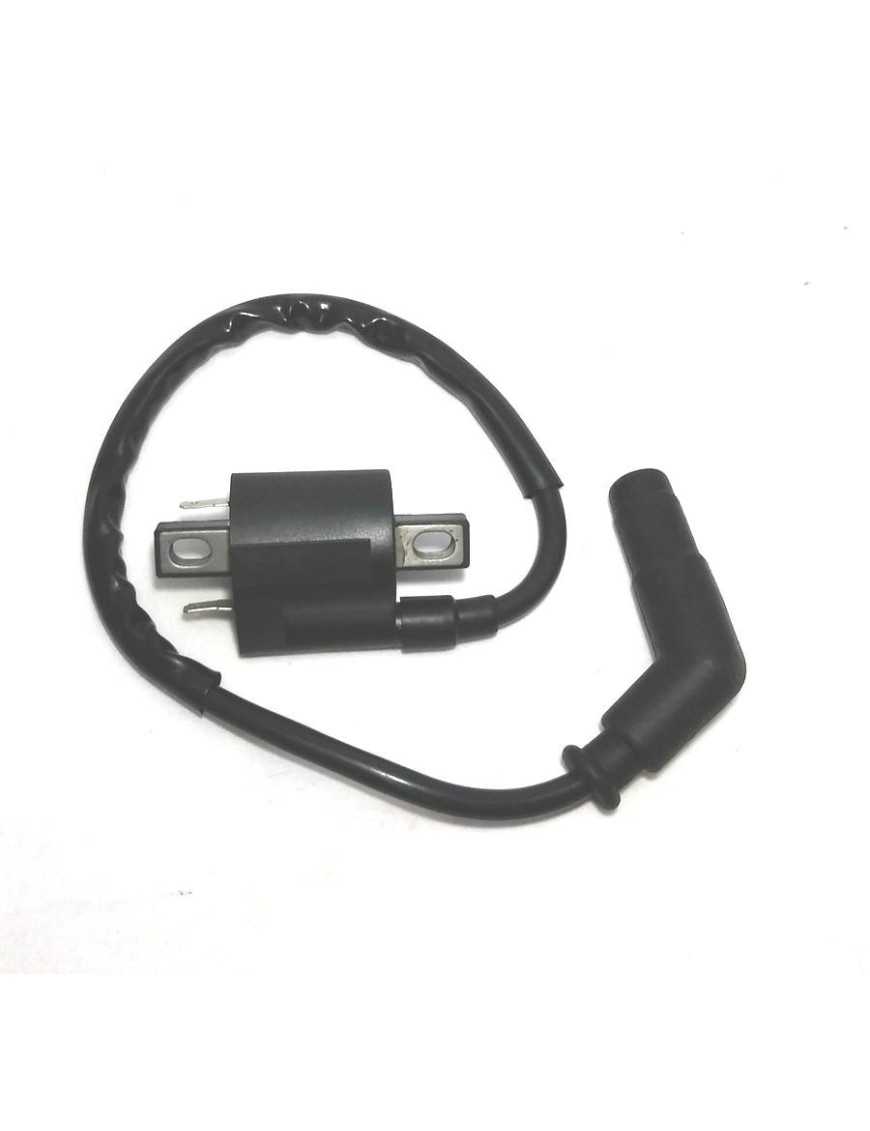 Ignition Coil with Spark Plug Yamaha Grizzly 700 1D7-82310-00-00 1D7-82310-01-00 Ignition Coil with Spark Plug Yamaha Grizzly 700 1D7-82310-00-00 1D7-82310-01-00