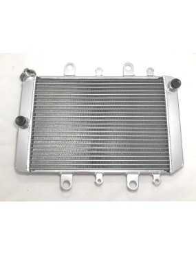 Radiator Yamaha Grizzly 550...