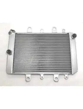 Radiator Yamaha Grizzly 550 700 Kodiak 700 2015-2020 B16-E2460-00-00