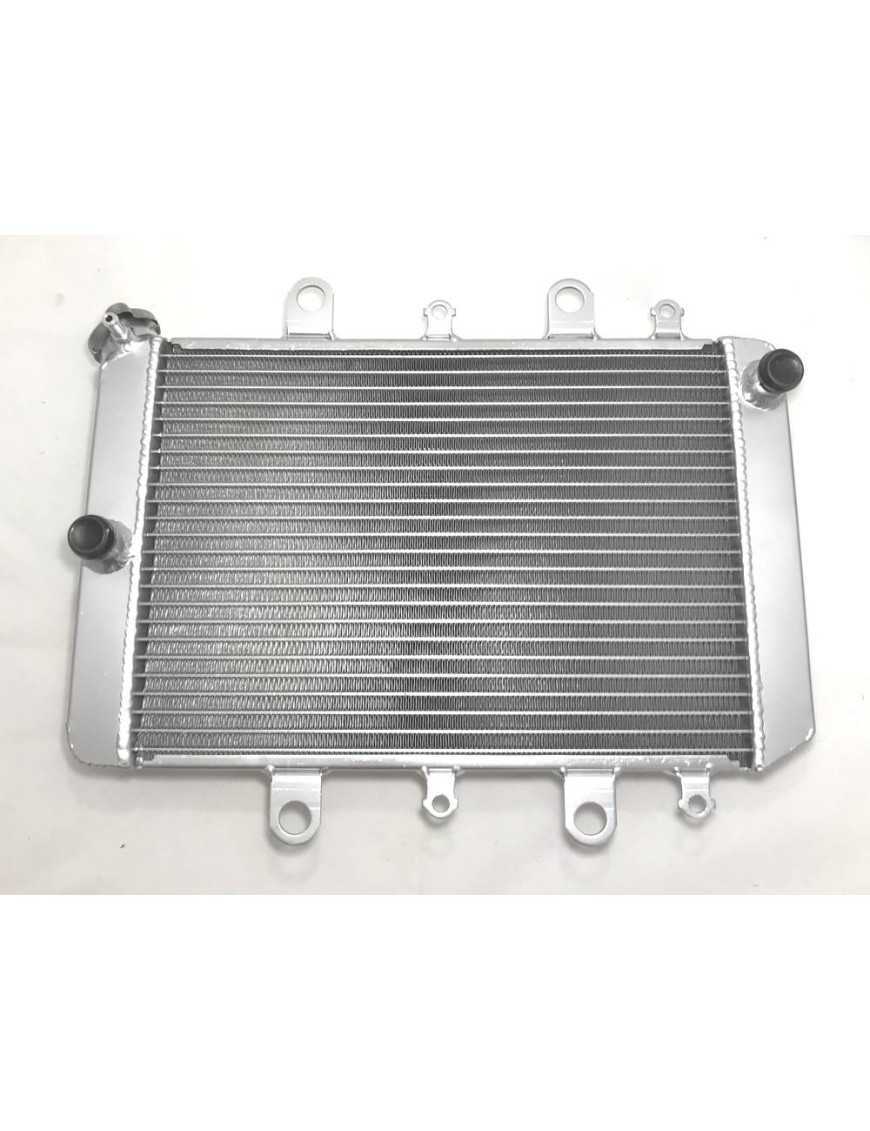 Radiator Yamaha Grizzly 550 700 Kodiak 700 2015-2020 B16-E2460-00-00