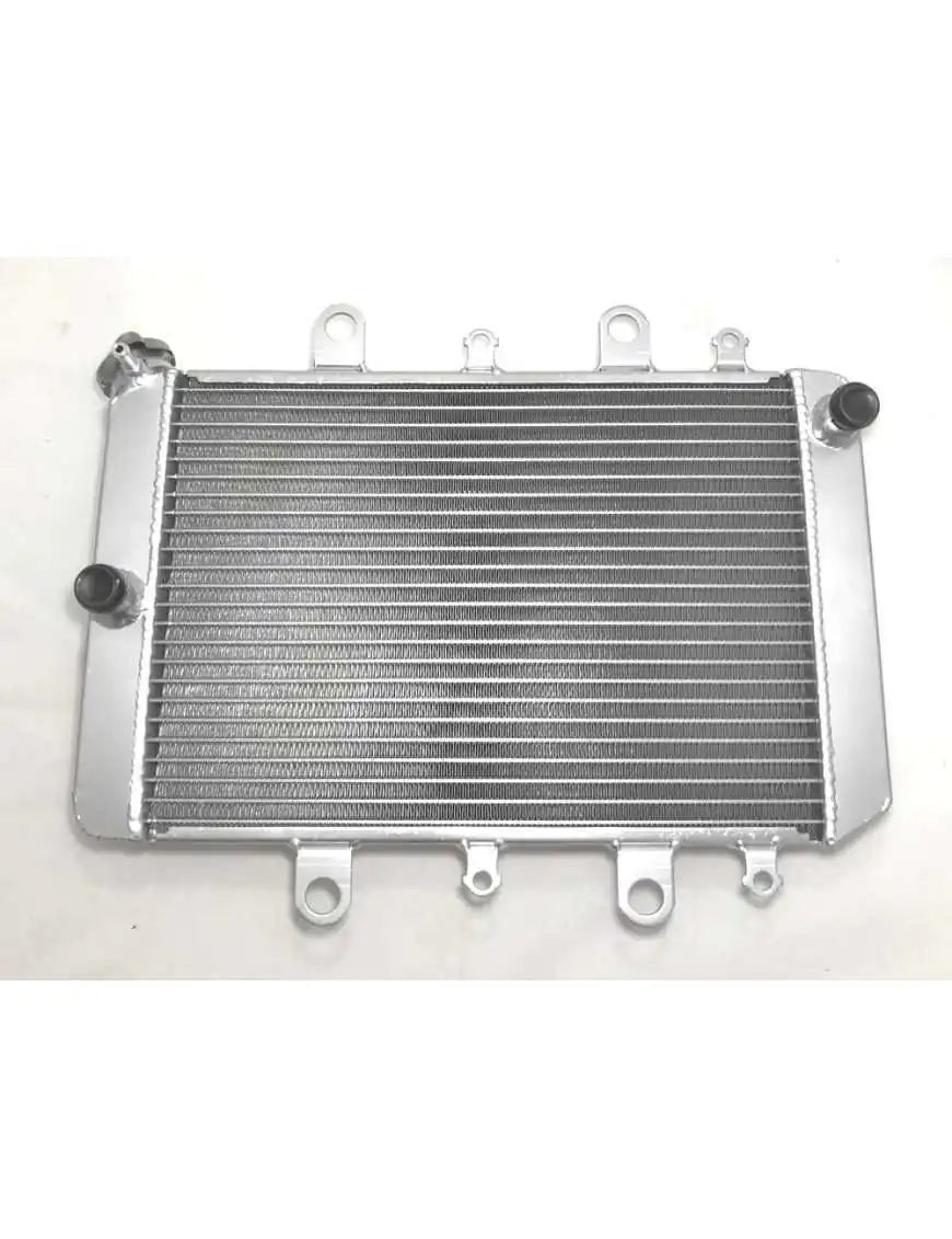 Radiator Yamaha Grizzly 550 700 Kodiak 700 2015-2020 B16-E2460-00-00