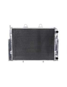 Radiator Polaris RZR 570...