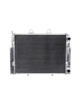 Radiator Polaris RZR 570...