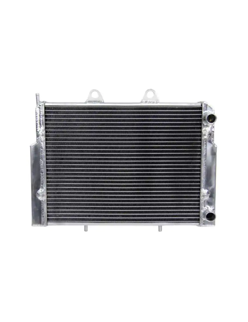 Radiator Polaris RZR 570 800 Sportsman ACE 325 570 1240319 1240444