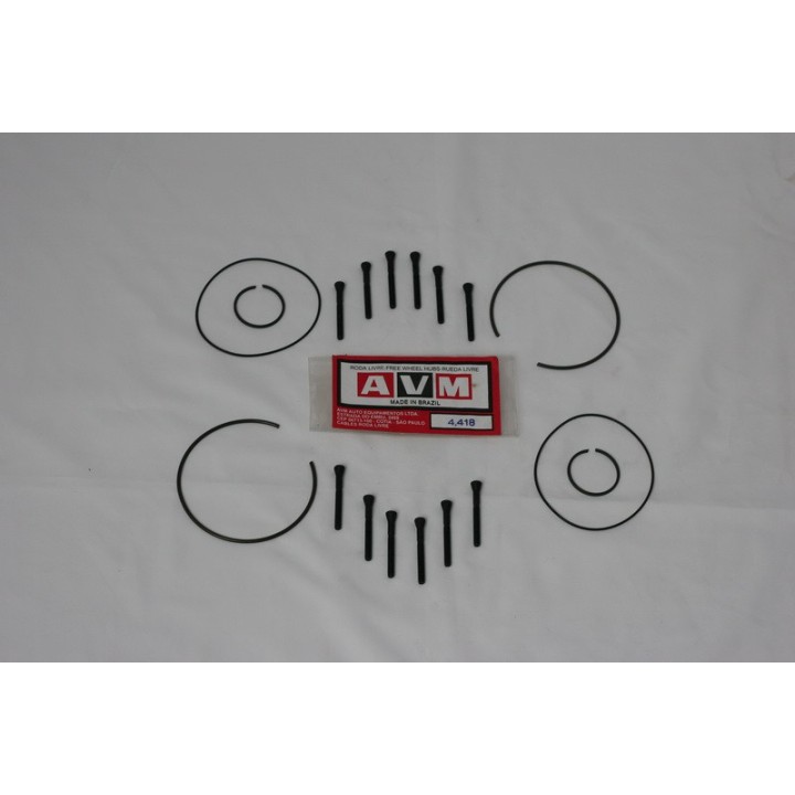 Zestaw serwisowy AVM 4.418