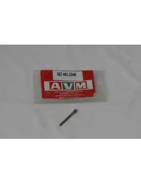 Screw AVM stainless